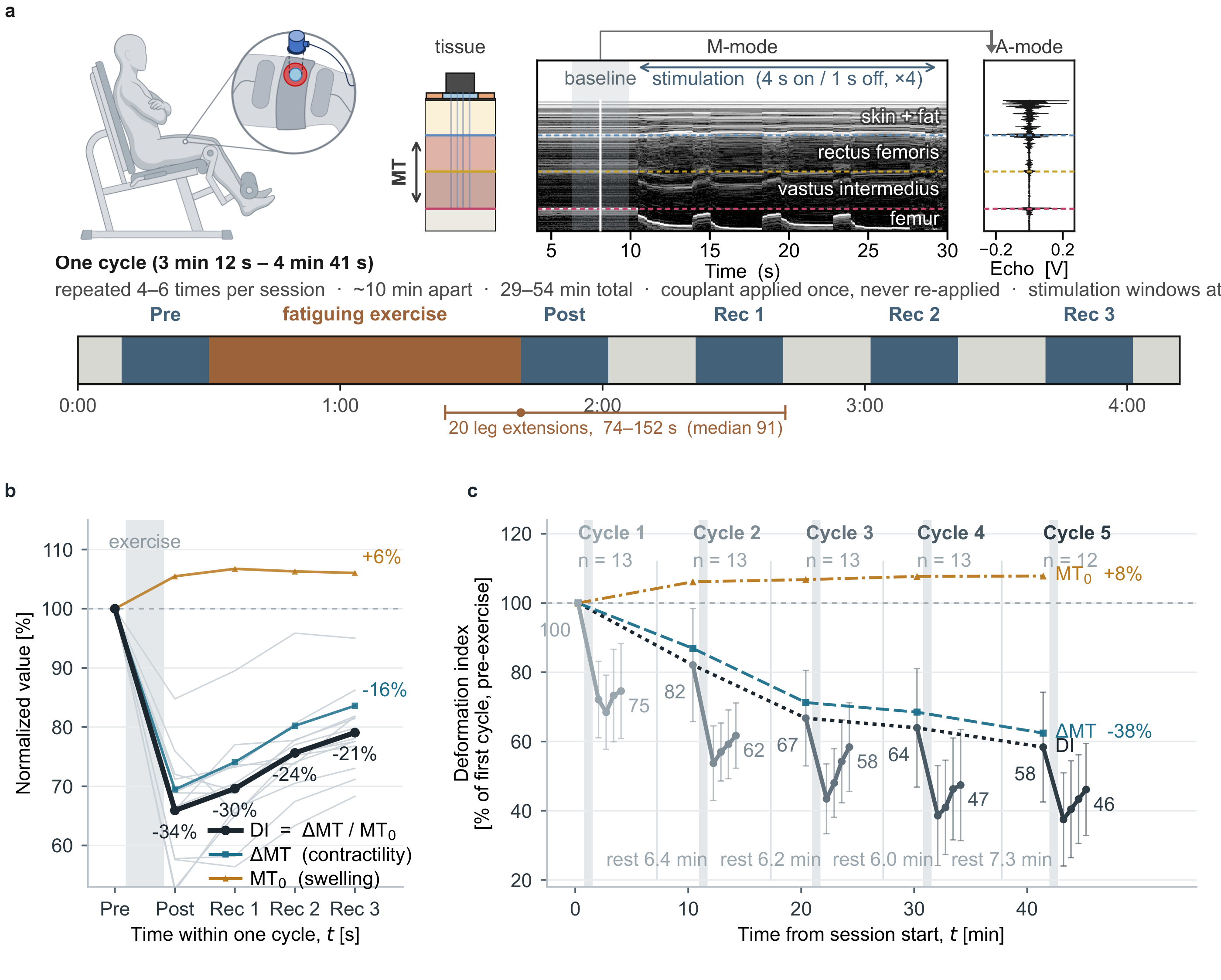 Figure 5 — protocol, within-cycle recovery, across-session decline.