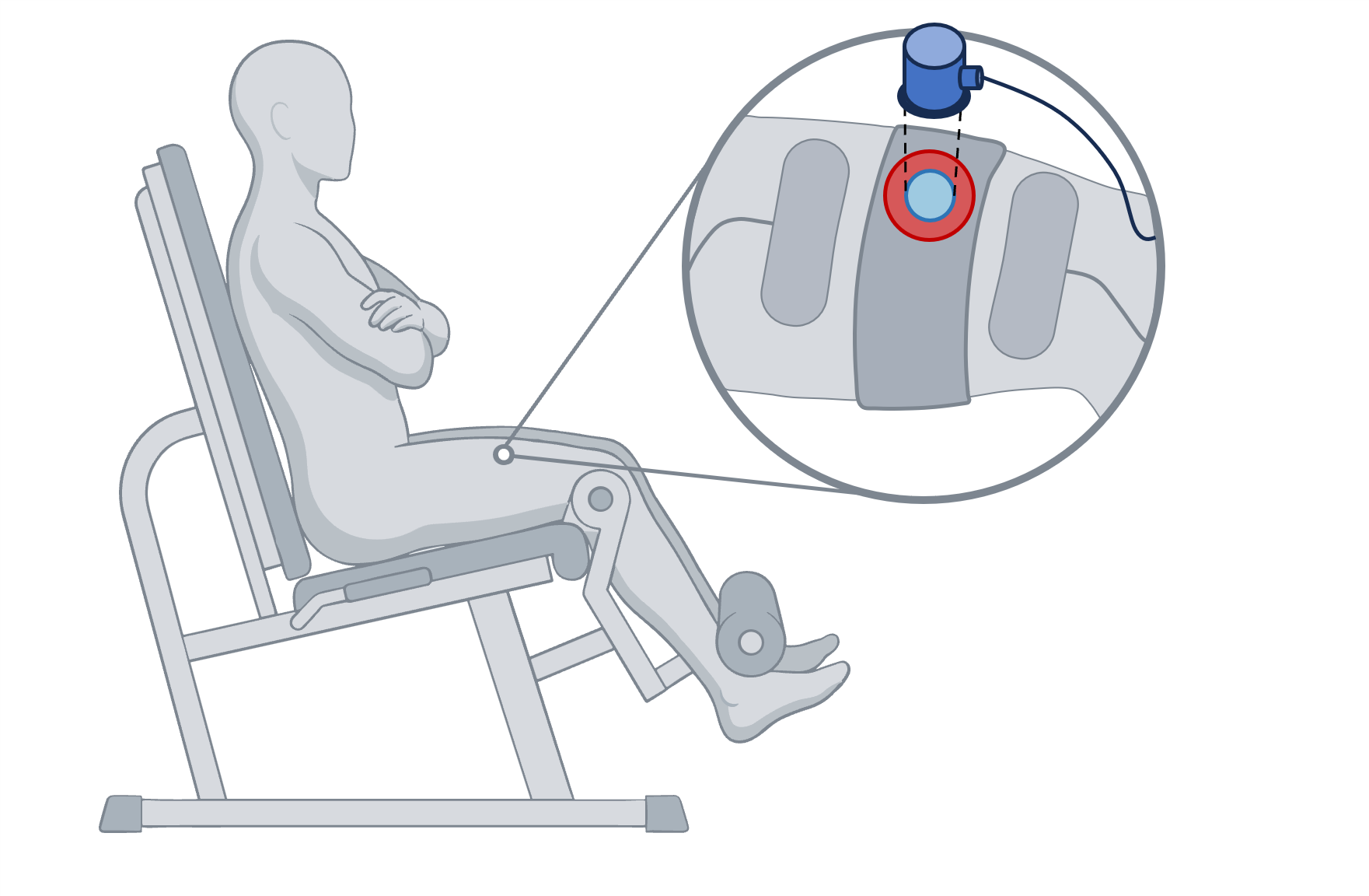 Illustration of a seated participant on a leg-extension machine, with a callout showing the transducer over the concentric couplant on the quadriceps, between two stimulation electrodes.